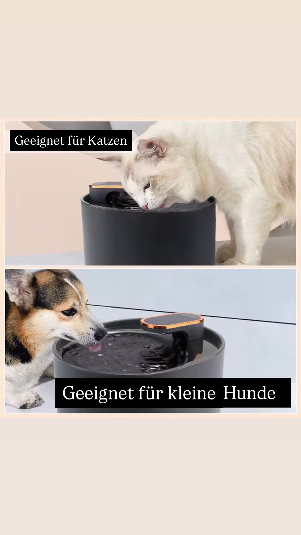Wassertrinkbrunnen für Katzen und Hunde